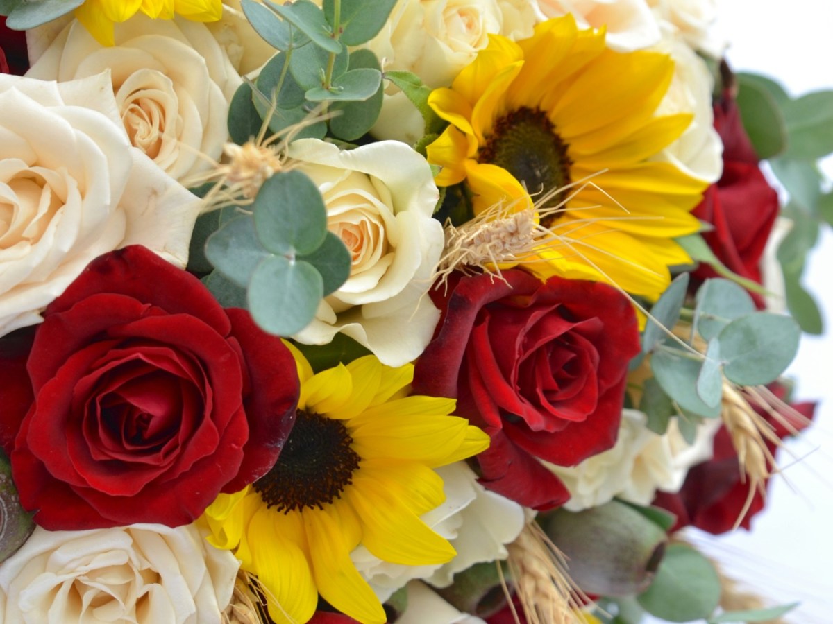 🌸 Quelle est la différence entre un bouquet, une composition piquée et une plante&nbsp;?