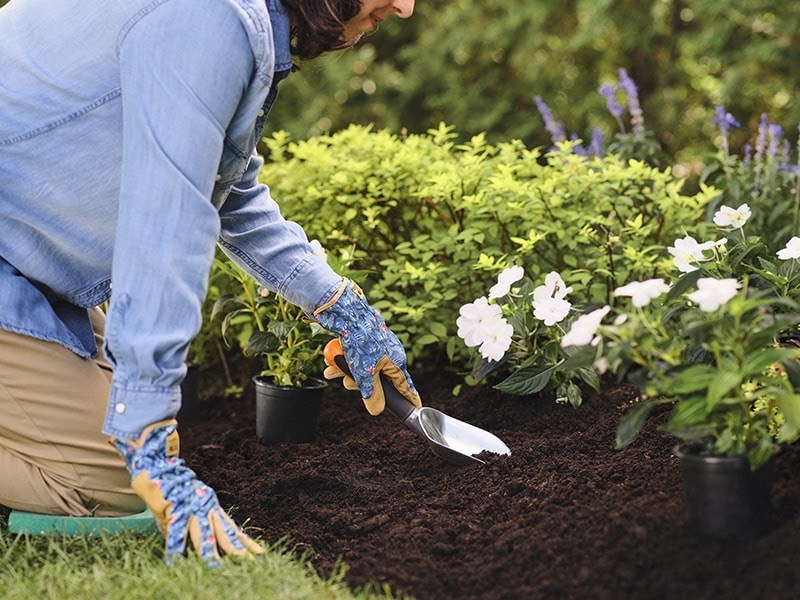 🌿 Les bonnes pratiques pour aimer jardiner : 7 conseils d’un jardinier&nbsp;paysagiste