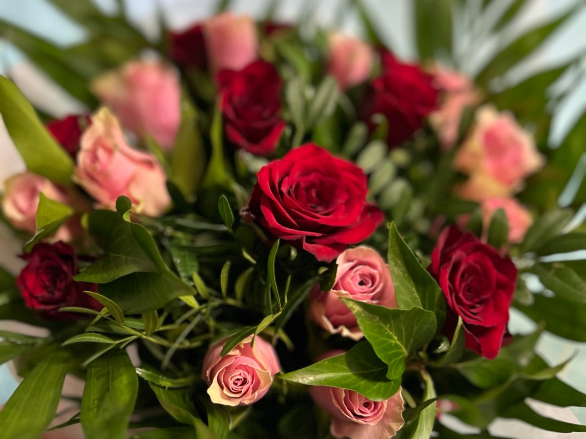 Journée internationale des droits des femmes : pourquoi le 8 mars et quelle est la signification des fleurs&nbsp;?